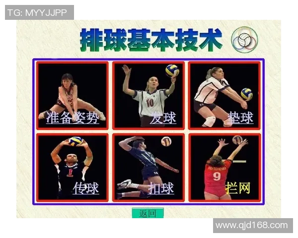 重庆排球队配合战术深度解析与对比分析 重庆排球队配合战术深度解析与对比分析