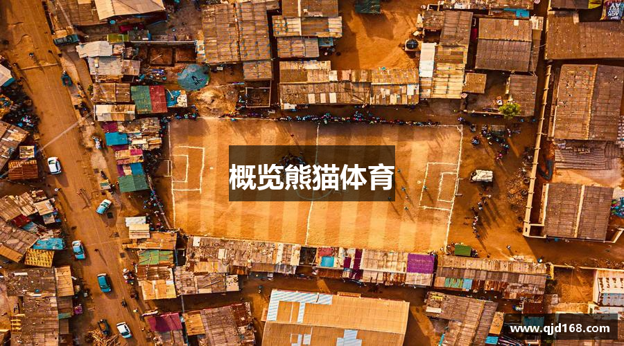 概览熊猫体育